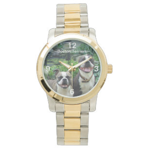 Montre heureuse de sourire de terriers de Boston