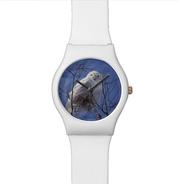 Montre Hibou de Milou, oiseau blanc contre un ciel bleu (Fermer)