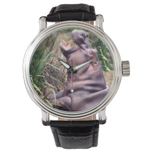 Montre Hippopotame Essayant De Grimper,