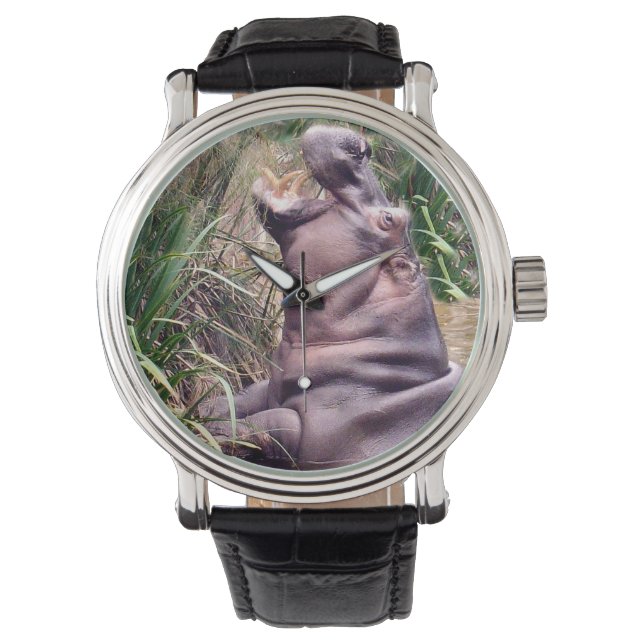 Montre Hippopotame Essayant De Grimper, (devant)