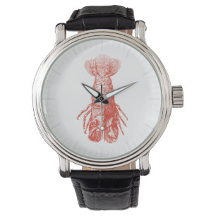 Montre Homard vintage Scyllarus Arctus