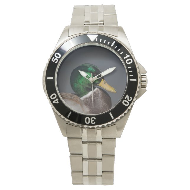 Montre Homme Mallard Duck Drake en acier inoxydabl (devant)