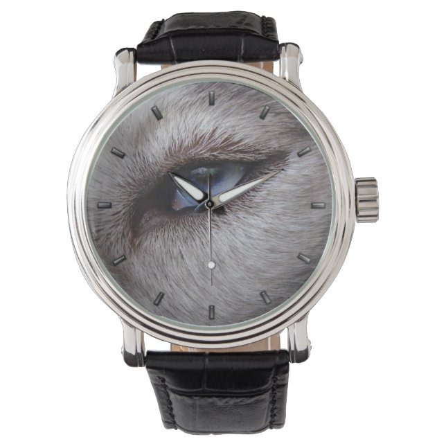 Montre Husky Watch Sibérienne Husky Malamute Wrist Watch (devant)