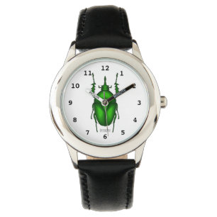 Montre Illustration de bug Mecynorhina torquata