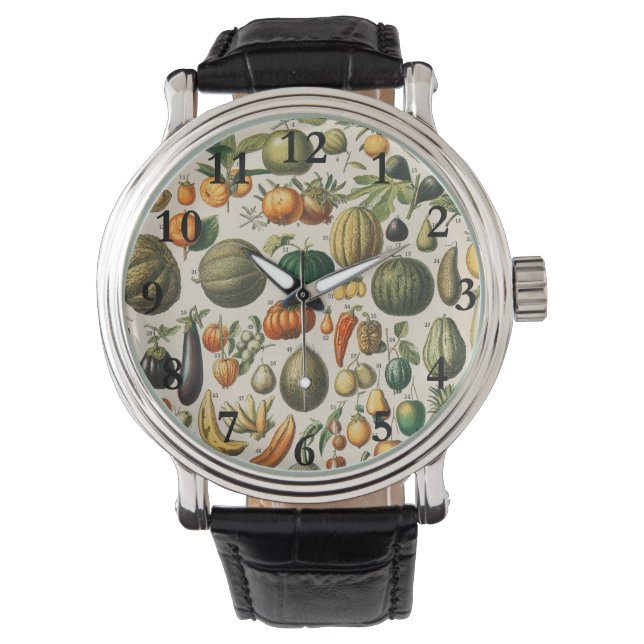 Montre Illustration scientifique végétale des fruits (devant)
