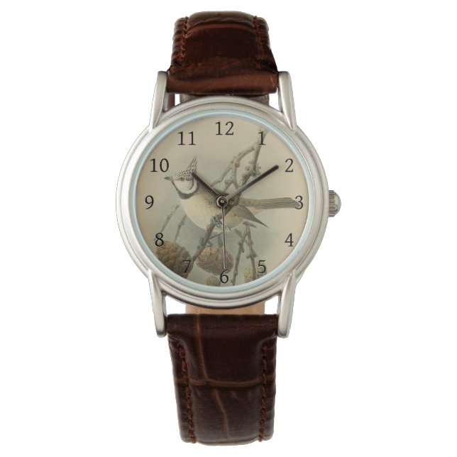 Montre Illustration vintage de l'European Crested Tit (devant)