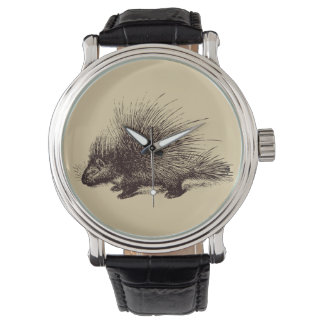 Montre illustration Vintage du porc-épic