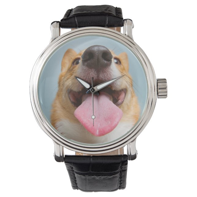 Montre Images Getty | Corgi très heureux (devant)