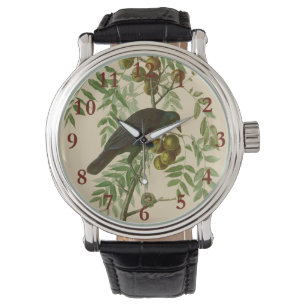 Montre Impression d'oiseau Grackle violet d'Audubon Botan