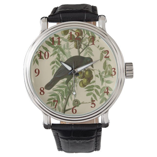 Montre Impression d'oiseau Grackle violet d'Audubon Botan (devant)