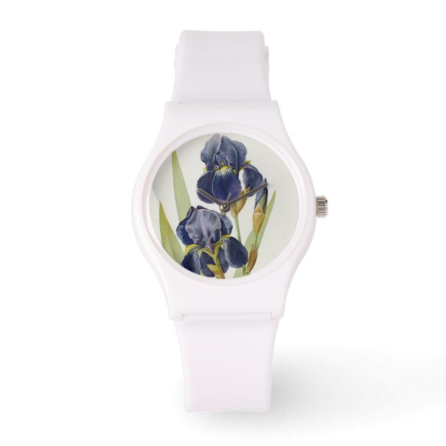 Montre Iris Germanica, de "Les Liliacées", 1805 (Recto)