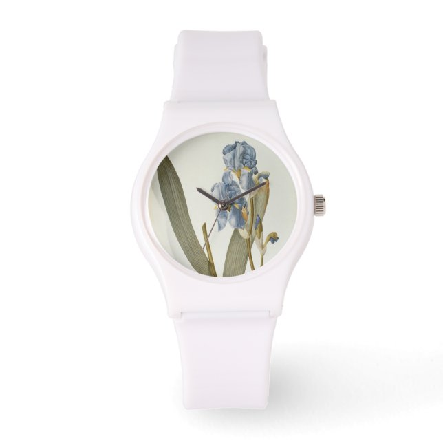 Montre Iris Pallida, de `Les Liliacées', 1812 (Recto)
