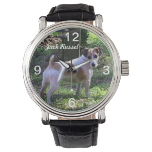 Montre Jack Russel Chien Watch