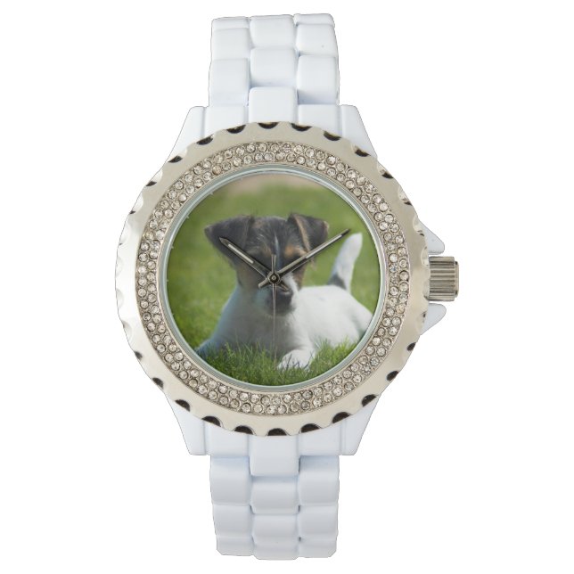 Montre Jack Russel Puppy (devant)