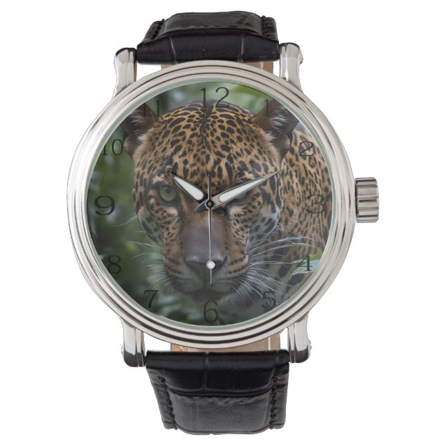 Montre Jaguar Sauvage En Forêt, (devant)