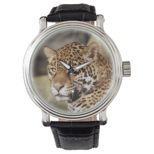 Montre Jaguar Watch