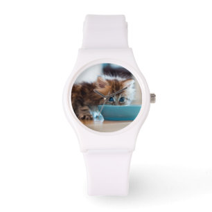 Montre Jeune chaton persan