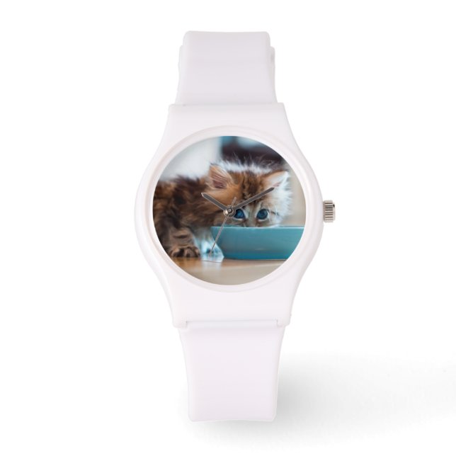Montre Jeune Kitten perse (Recto)