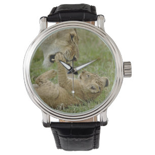 Montre Jeune lion jouant