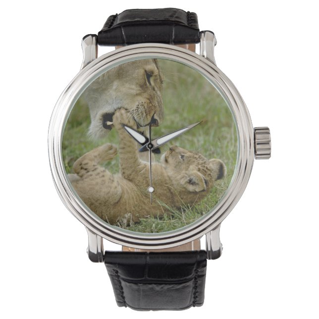 Montre Jeune lion jouant (devant)
