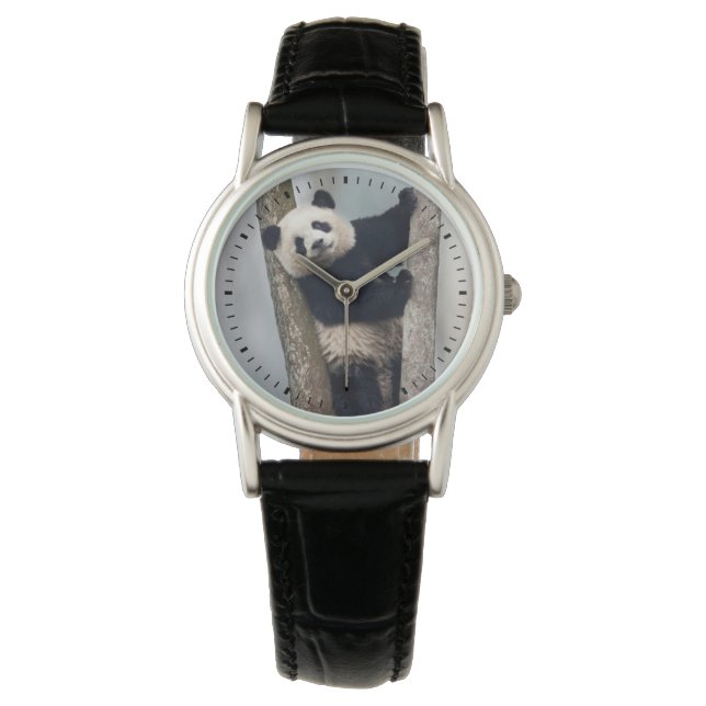 Montre Jeune panda grimpant à un arbre, Chine (devant)