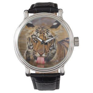 Montre Jeune tigre du Bengale royal, buvant de l'eau