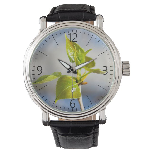 Montre Jeunes feuilles (devant)