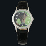 Montre Joli Cheval Brown allongé dans l'herbe<br><div class="desc">Une montre avec une belle photo représentant un beau cheval de baie brun posé dans l'herbe, à l'air paisible et content.</div>