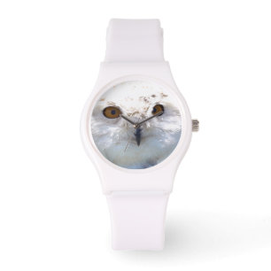 Montre Jote Chouette Neige Yeux Faune Photo