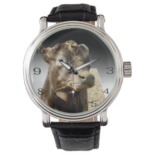 Montre Jour du foin : Un moment Brown d’encrassement de l