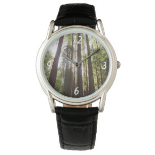 Montre Jusqu'aux Séquoias le Matin