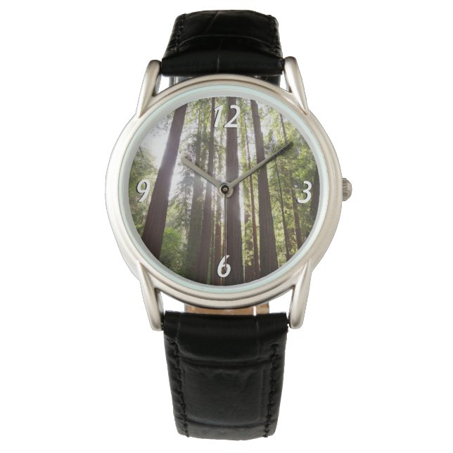 Montre Jusqu'aux Séquoias le Matin (devant)
