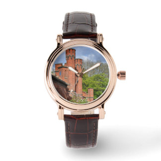 Montre Kaliningrad Russie Musée Kings Porte Nature verte