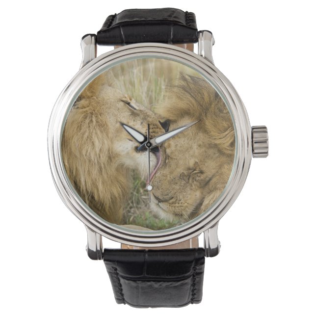Montre Kenya, Masai Mara (devant)