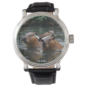 Montre La baignade de Capybara dans la rivière,