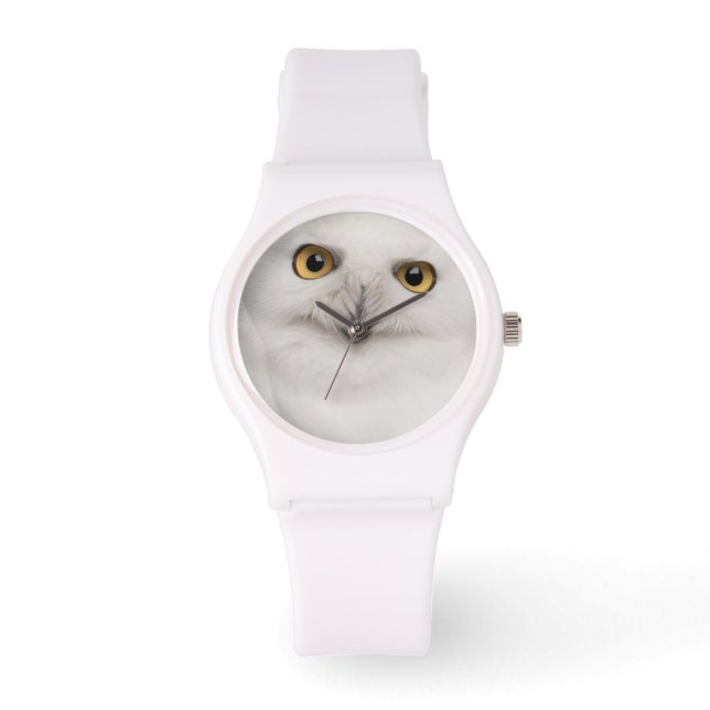 Montre La Chouette des neiges mâles (Bubo scandiacus) est (Recto)