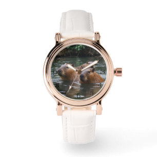 Montre La Nage Des Capybaras Dans La Rivière, Mesdames Re