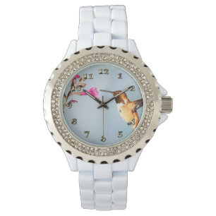 Montre La nature des colibris