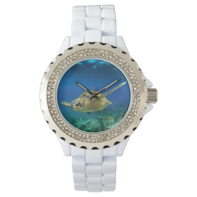 Montre La tortue de mer nageant sous l'eau (devant)