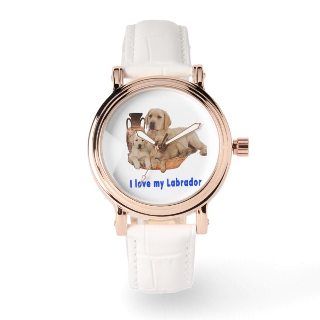 Montre Labrador Retriever (Recto)