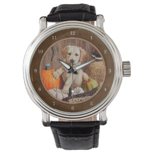 Montre Labrador Retriever