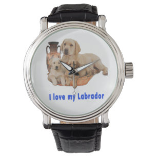 Montre Labrador Retriever