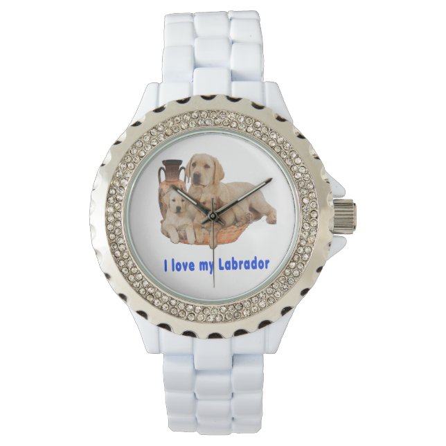 Montre Labrador Retriever (devant)