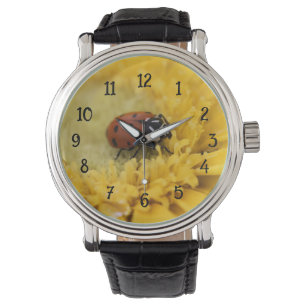 Montre Ladybug