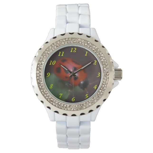 Montre Ladybug (devant)