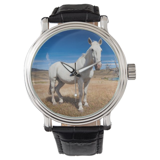 Montre Laguna Azul, paysage avec chevaux (devant)
