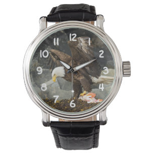 Montre L'aigle chauve ultime