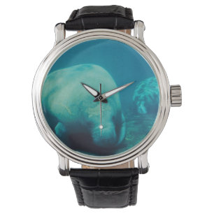 Montre Lamantin