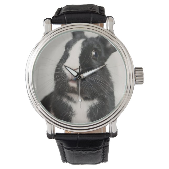Montre Lapin lapin noir et blanc Startted (devant)