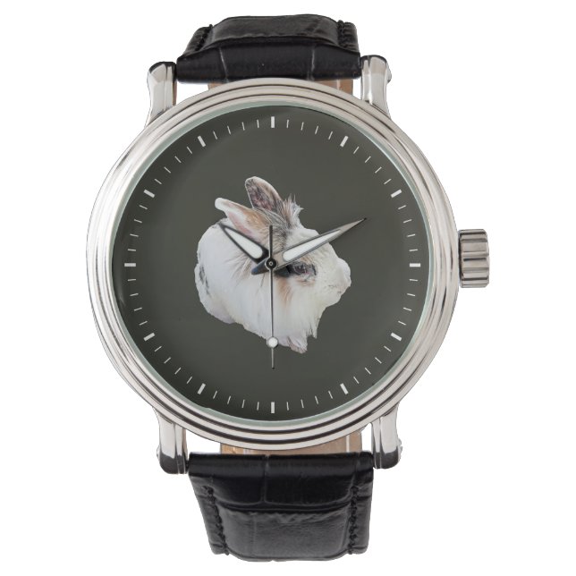 Montre Lapin Lionhead tricolore (devant)